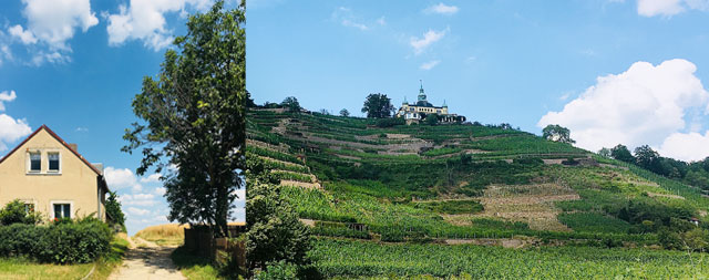 Wanderung durch die Radebeuler Kulturlandschaft